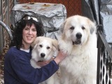 Andee Silverman
