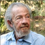 David Hawkins
